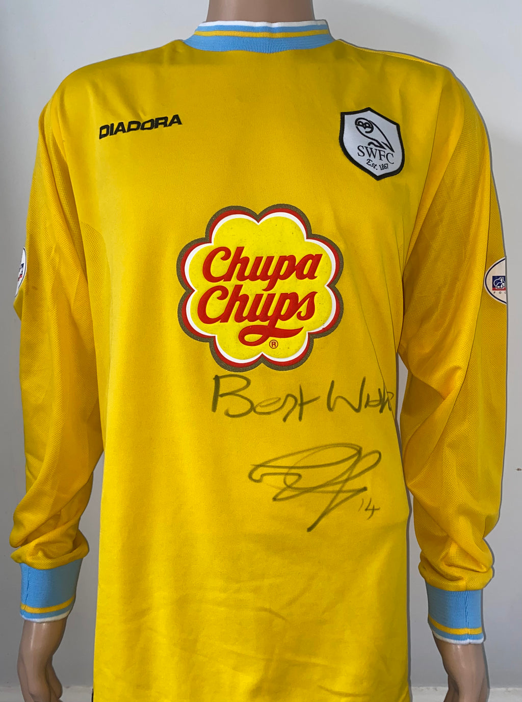 2002/03 SHEFFIELD WEDNESDAY MATCH WORN AWAY SHIRT (ARMSTRONG #14)