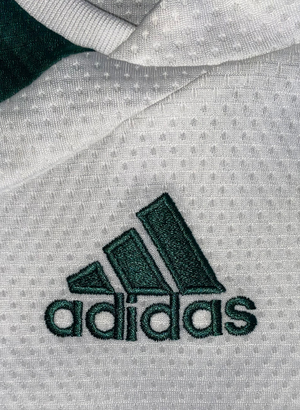 2009/10 PLYMOUTH ARGYLE MATCH WORN AWAY SHIRT (SEIP #19)