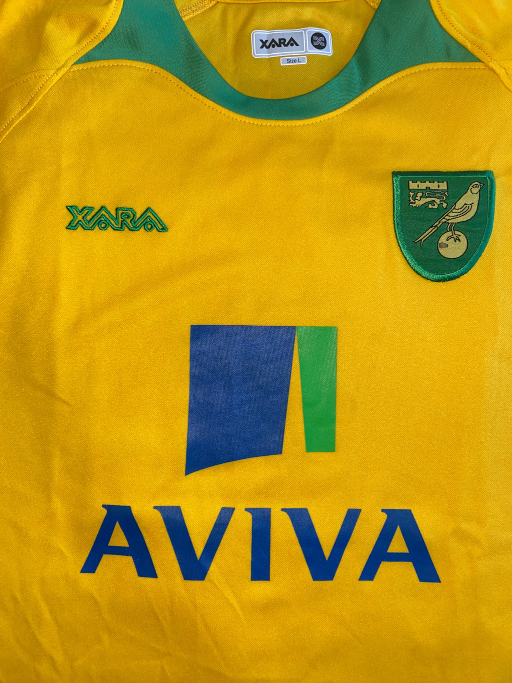 2008/09 NORWICH CITY MATCH WORN HOME SHIRT (GOW #17)