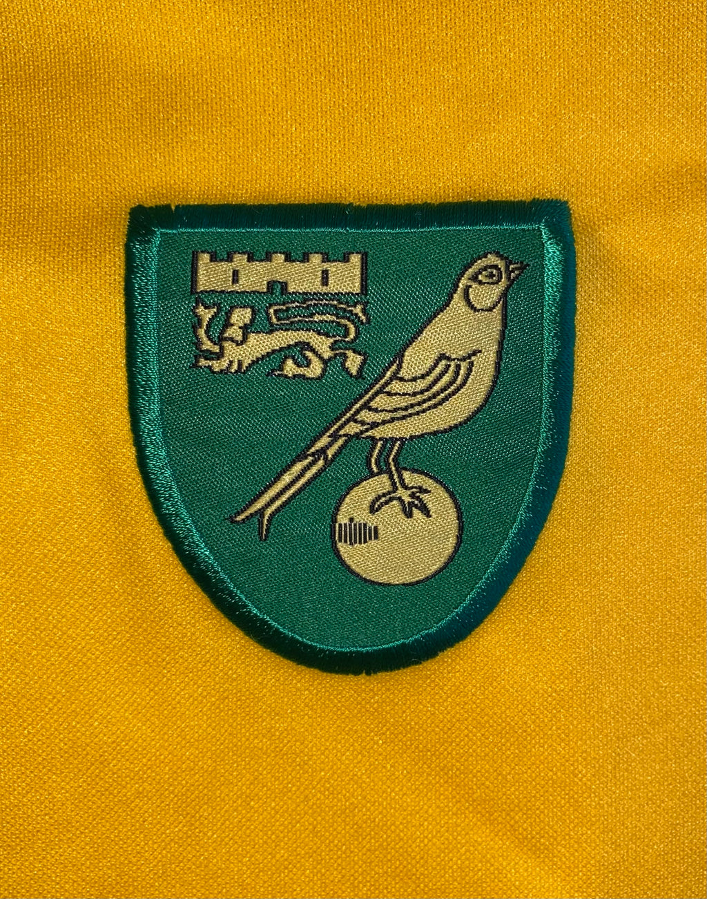 2008/09 NORWICH CITY MATCH WORN HOME SHIRT (GOW #17)