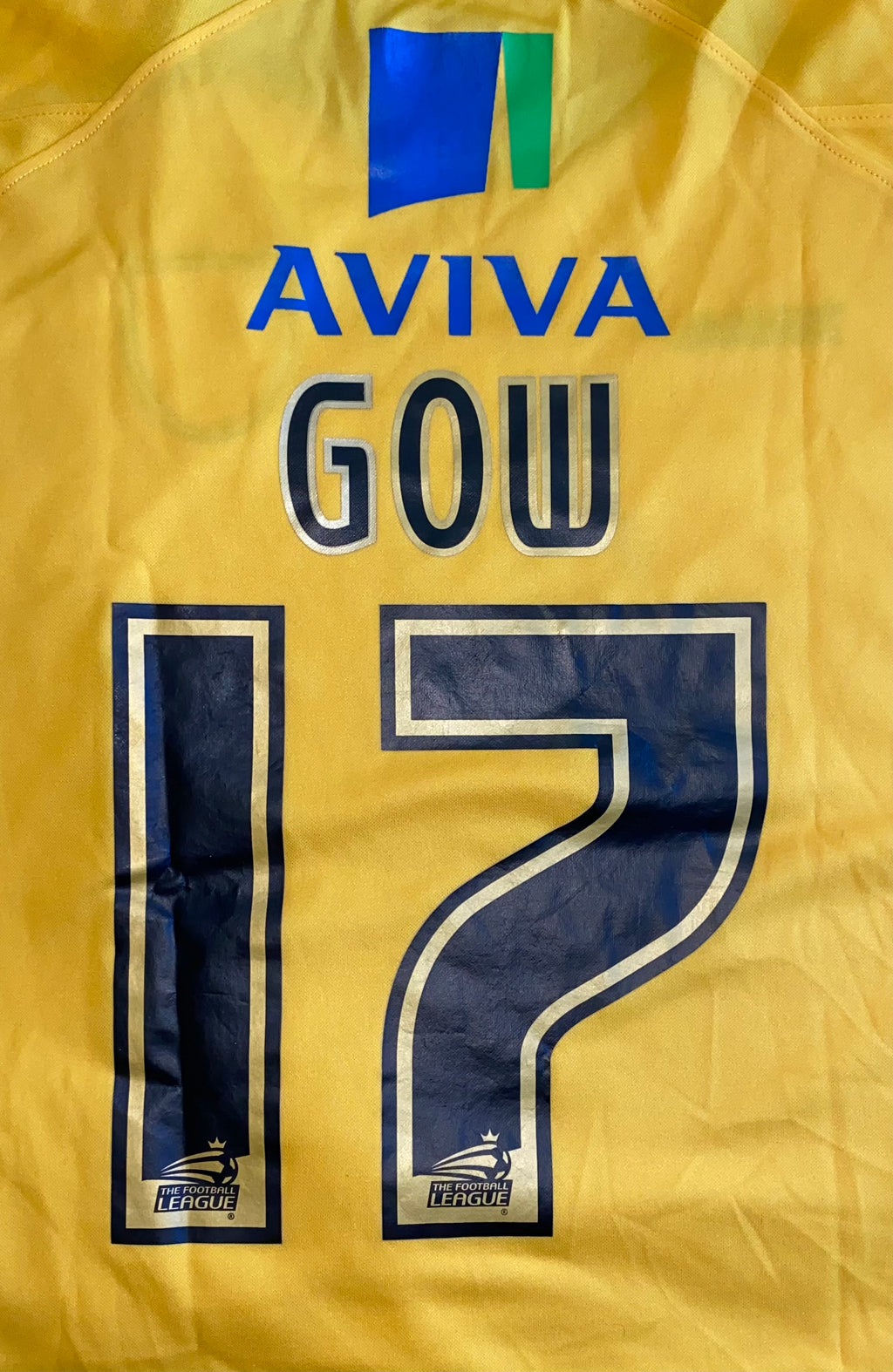 2008/09 NORWICH CITY MATCH WORN HOME SHIRT (GOW #17)