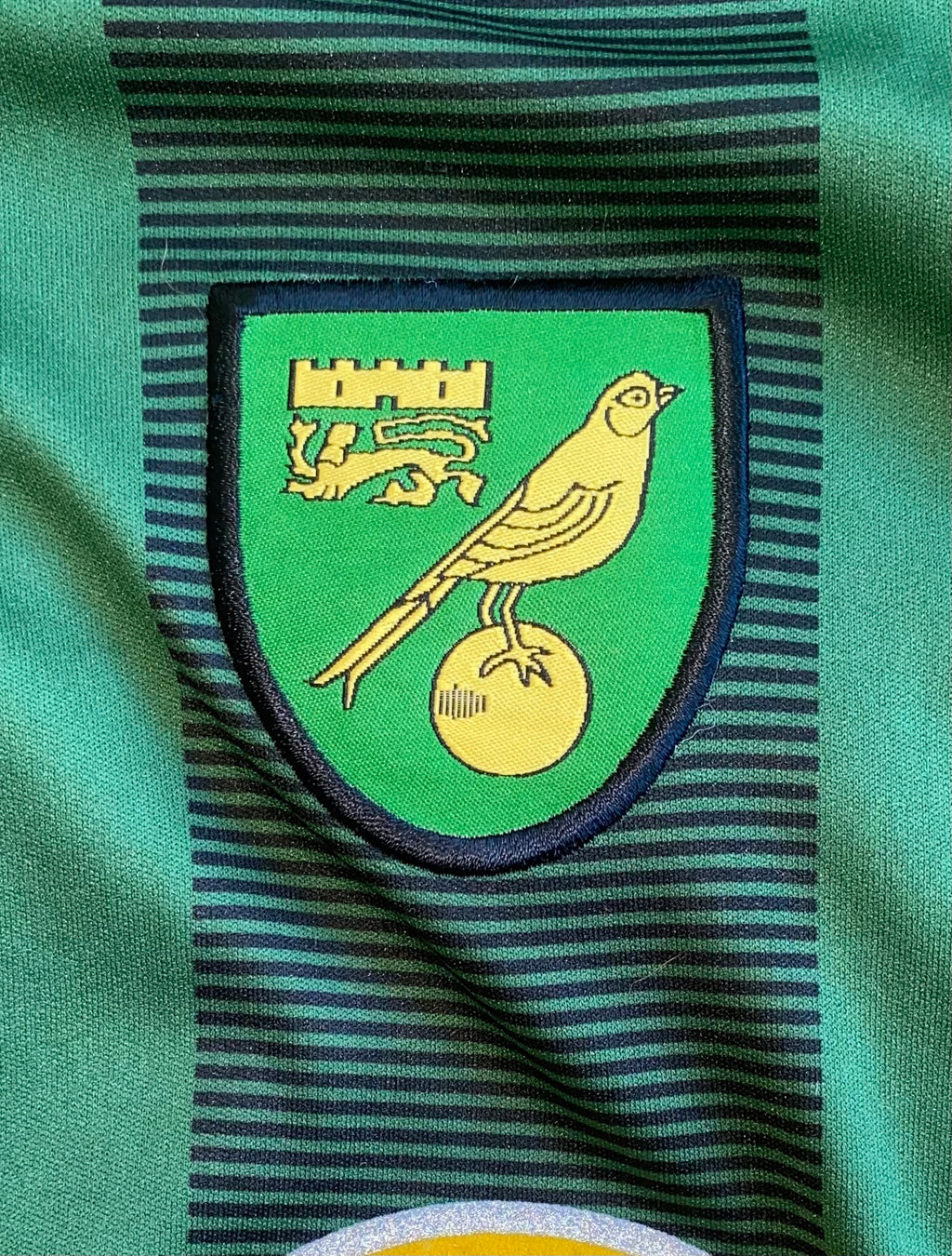2005/06 NORWICH CITY MATCH WORN AWAY SHIRT (REHMAN #19)