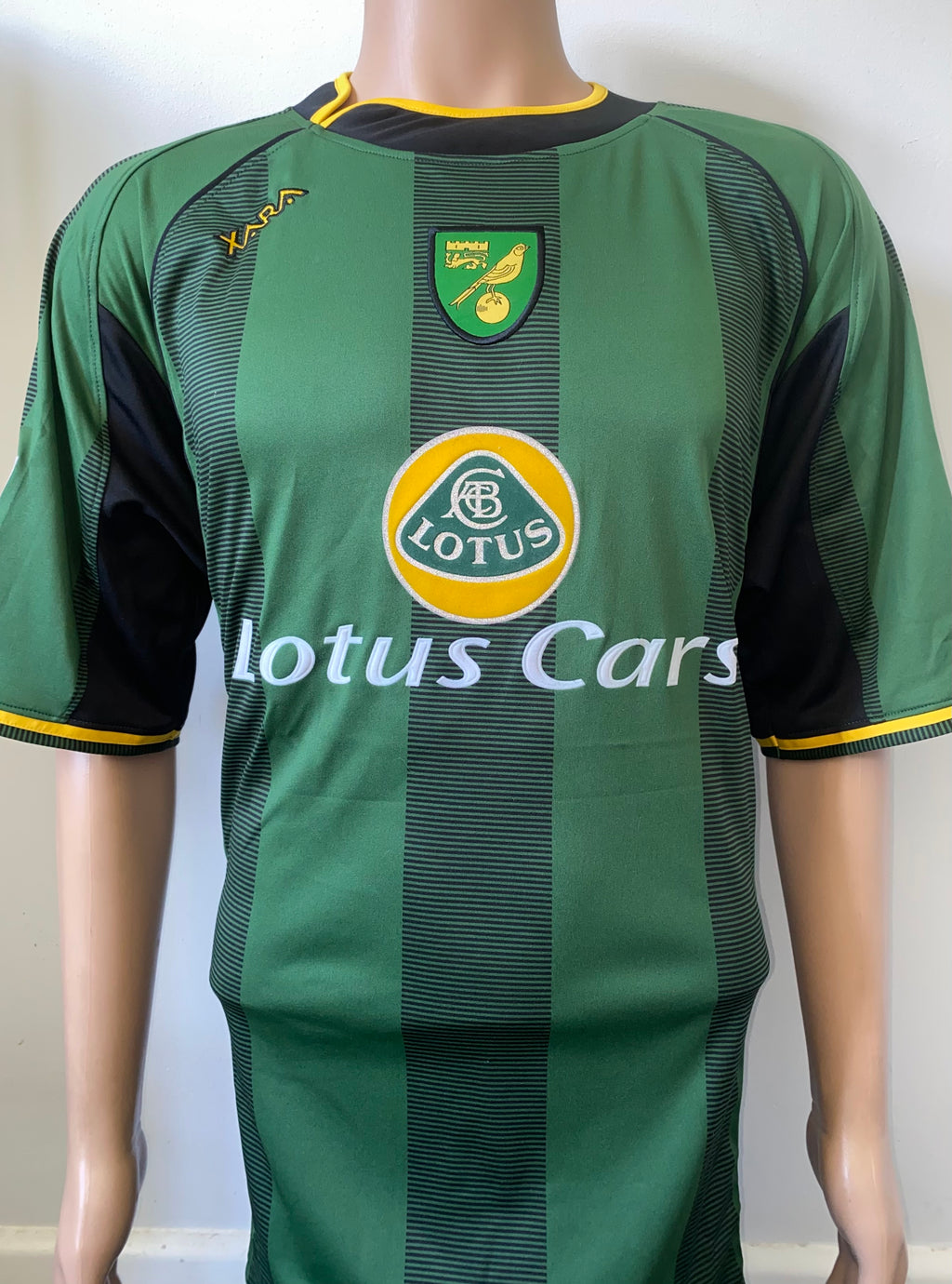 2005/06 NORWICH CITY MATCH WORN AWAY SHIRT (REHMAN #19)