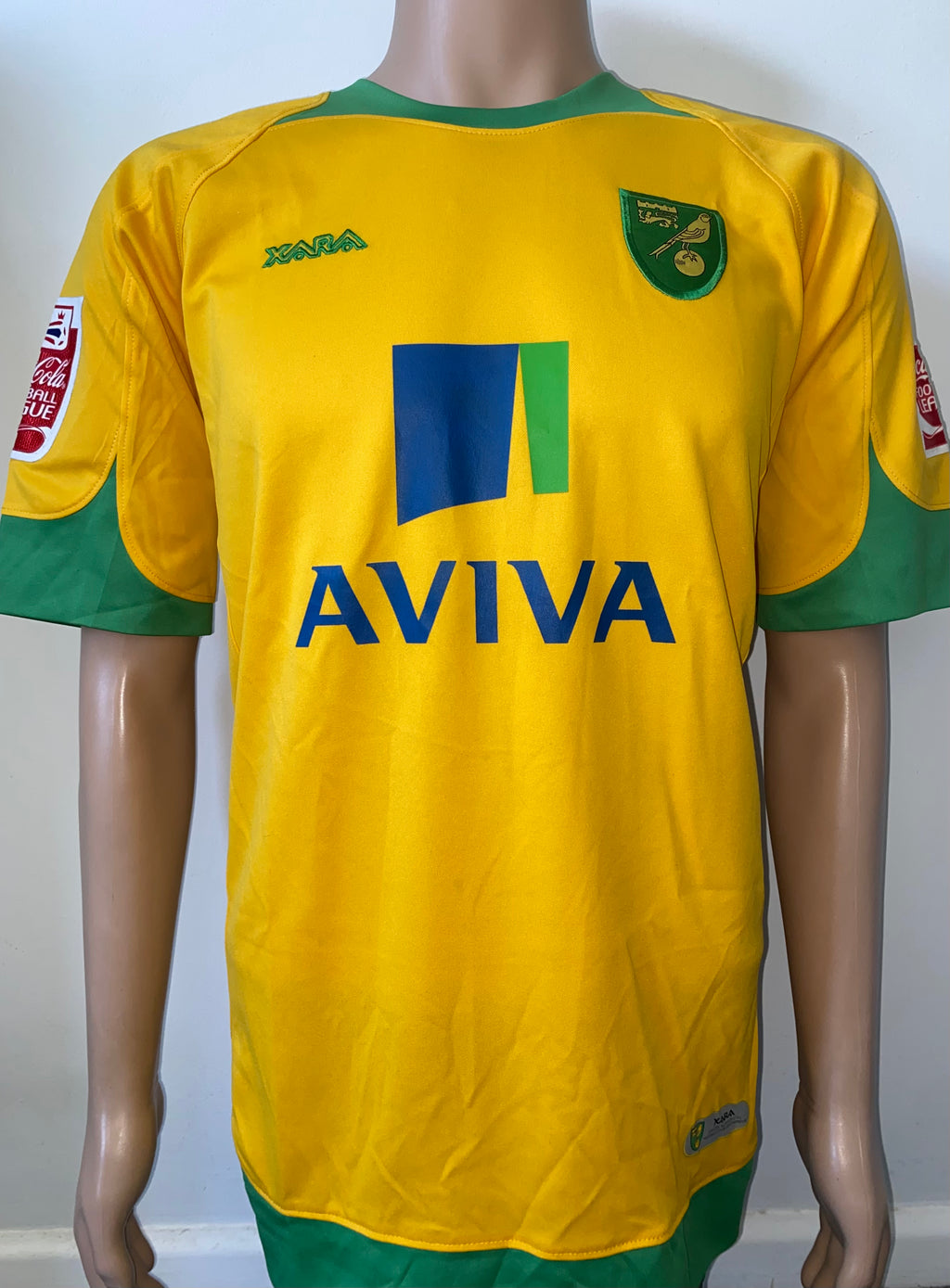 2008/09 NORWICH CITY MATCH WORN HOME SHIRT (GOW #17)