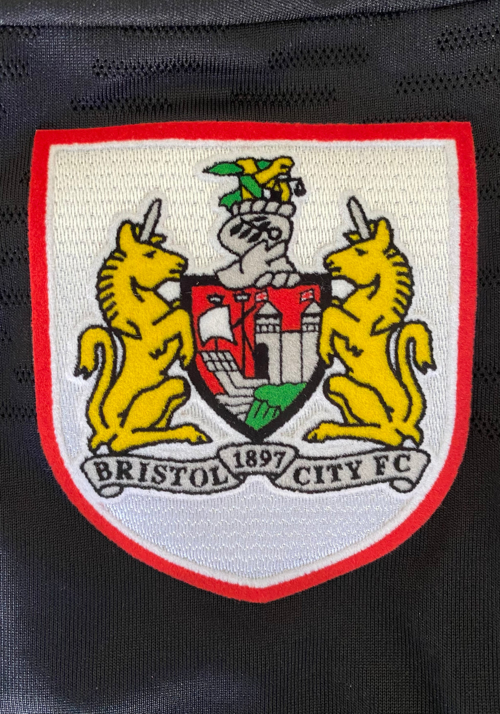 2010/11 MATCH WORN AND SIGNED BRISTOL CITY THIRD SHIRT (HAYNES #11)