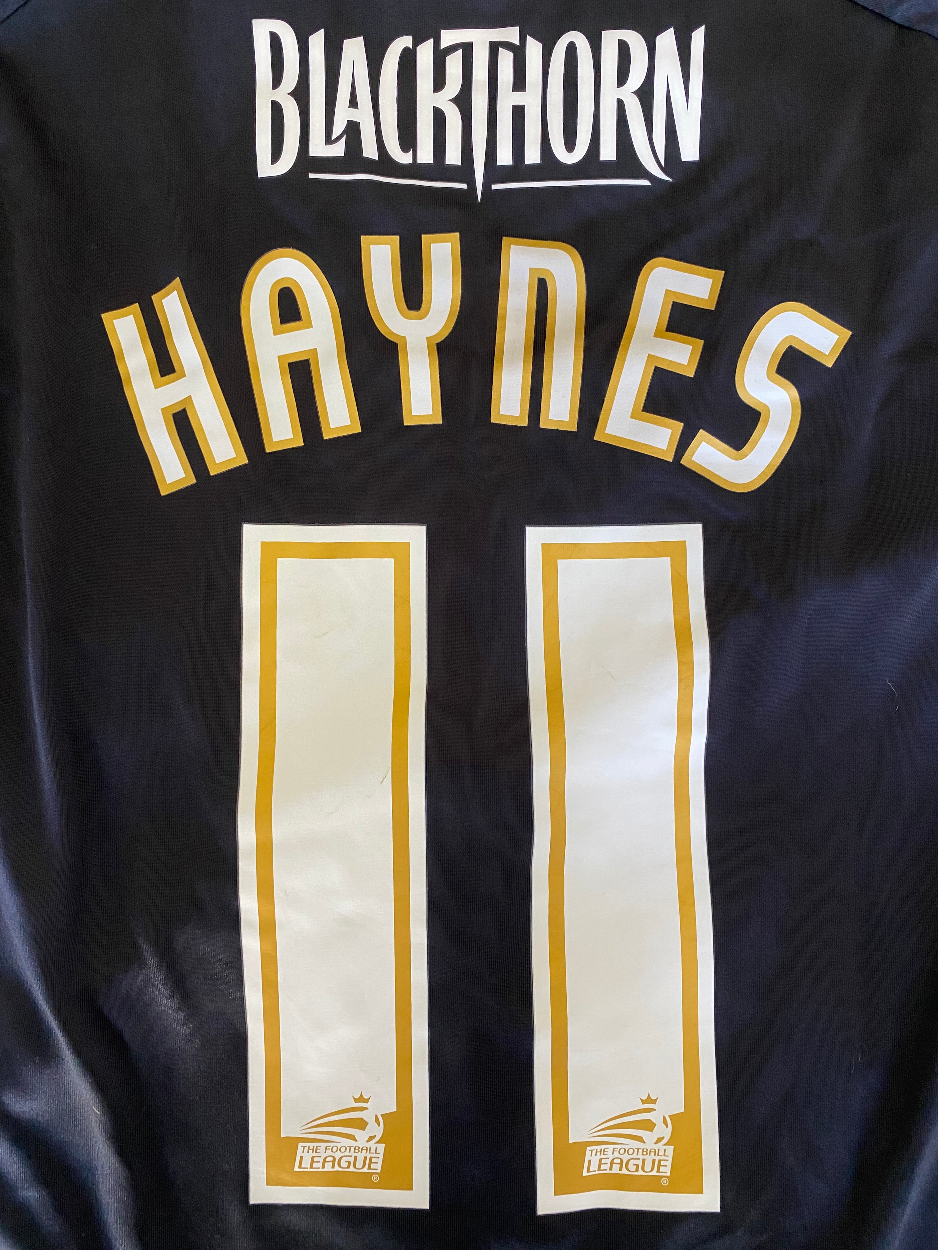 2010/11 MATCH WORN AND SIGNED BRISTOL CITY THIRD SHIRT (HAYNES #11)