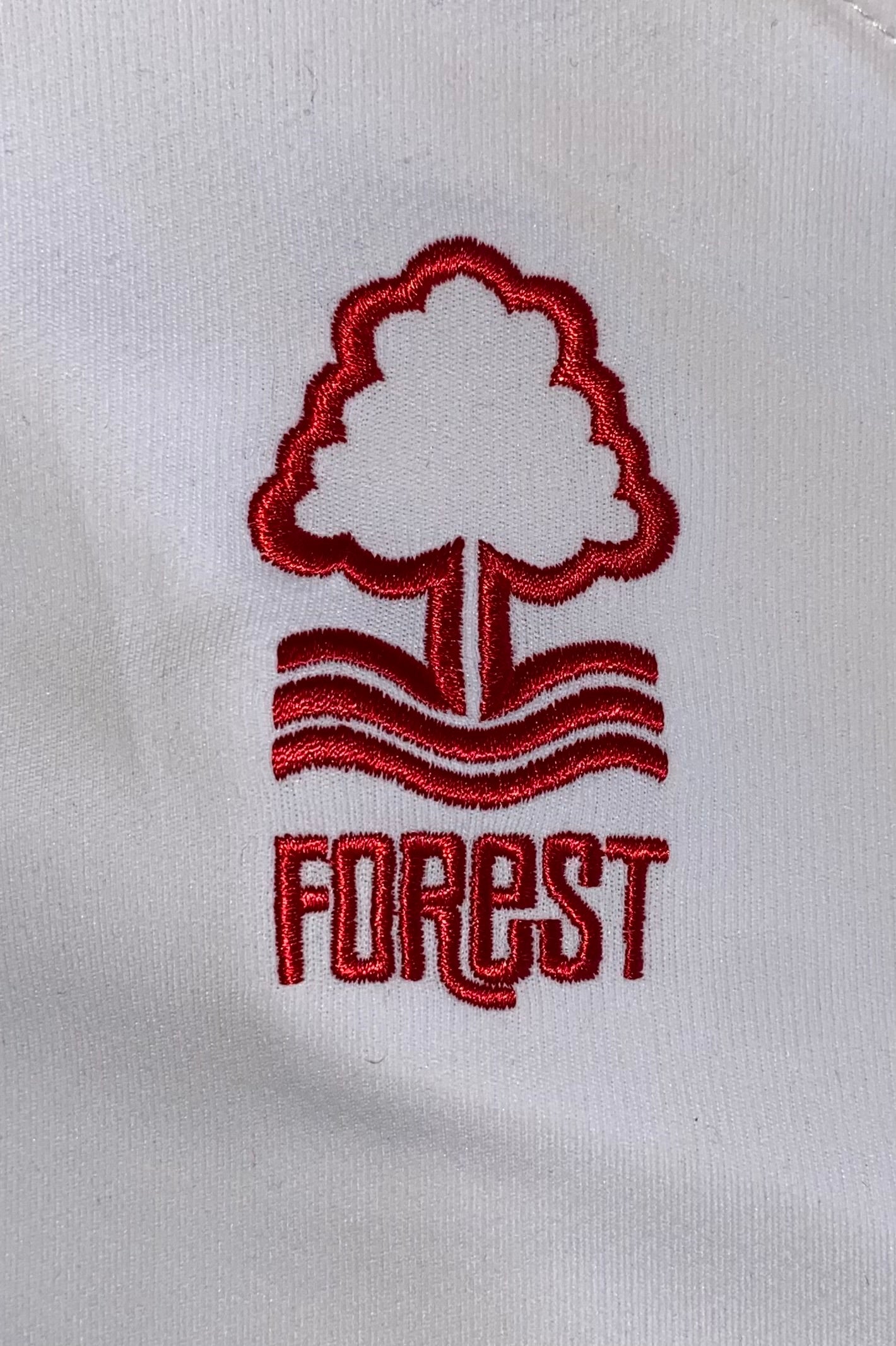2010/11 NOTTINGHAM FOREST MATCHWORN AWAY SHIRT (COHEN #15)