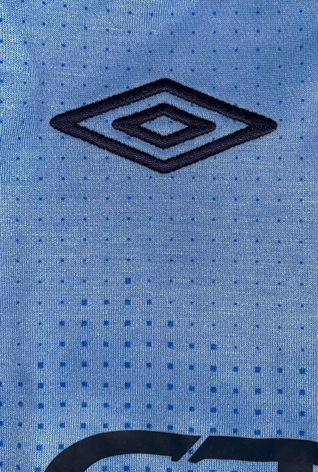 2011/12 MANCHESTER CITY MATCH ISSUE HOME SHIRT (SAVIC #15)