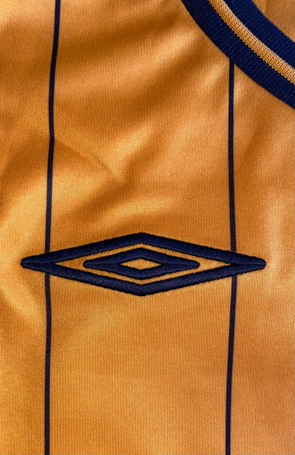 2009/10 HULL CITY MATCH WORN HOME SHIRT (MARNEY #22)